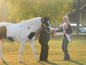 pumpkinfestivalhorseshow2011051.jpg